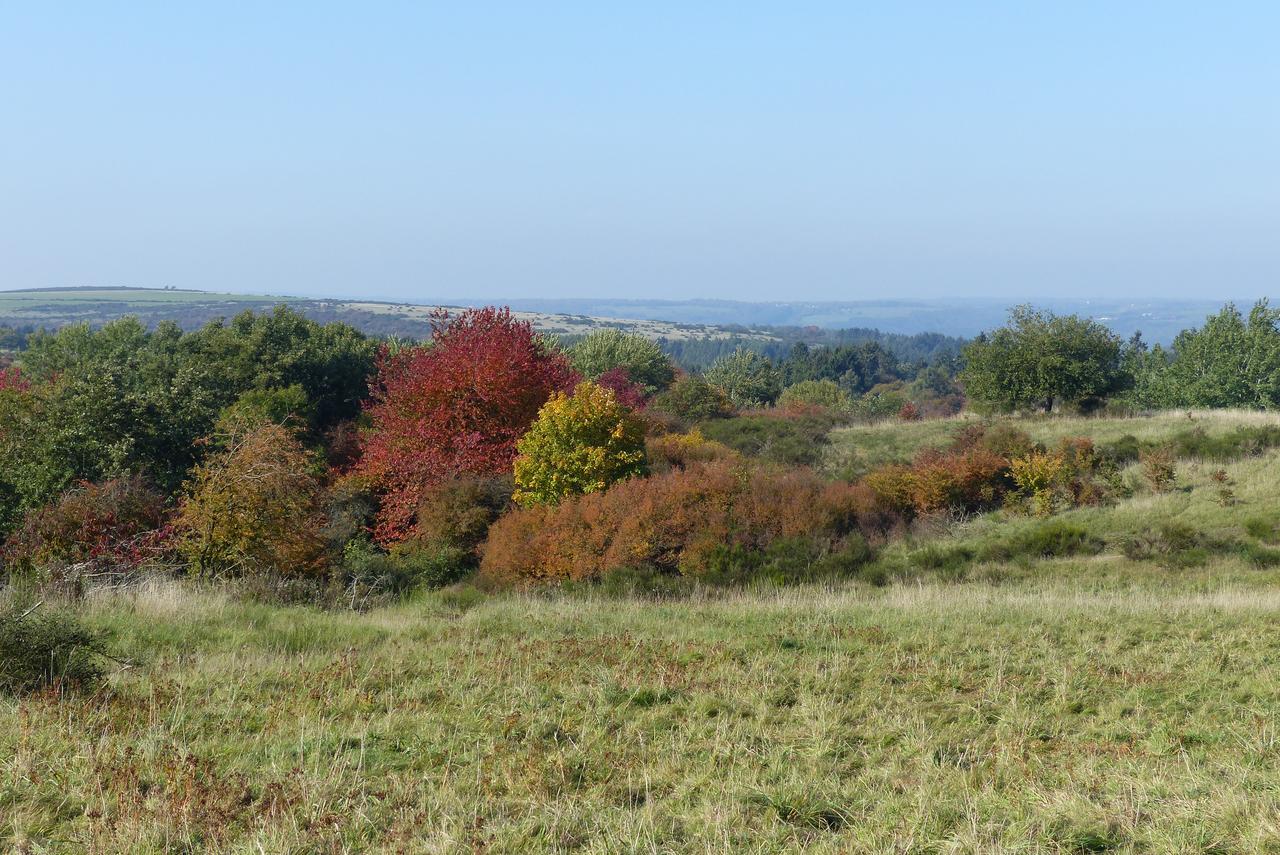 Chalets Am National Park Eifel Шлайден Екстериор снимка