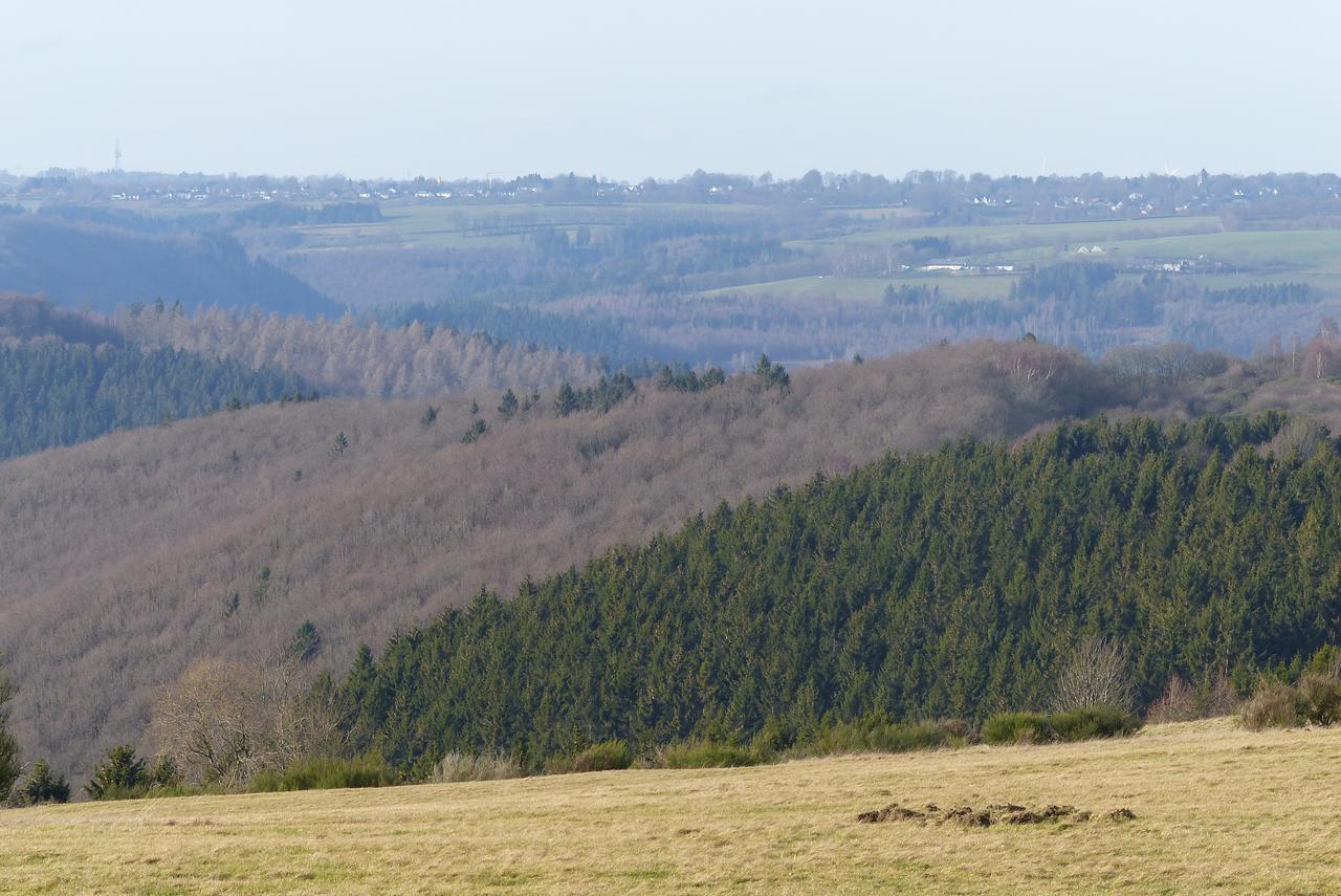 Chalets Am National Park Eifel Шлайден Екстериор снимка